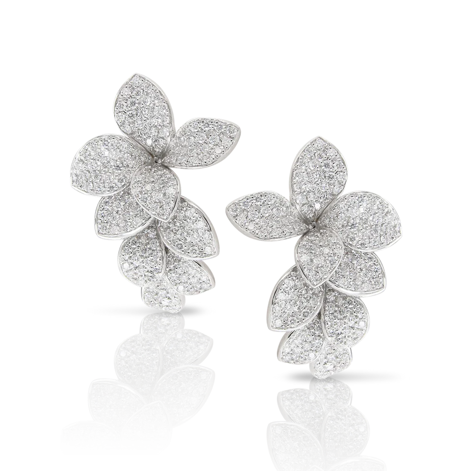 Stelle in Fiore Earrings
