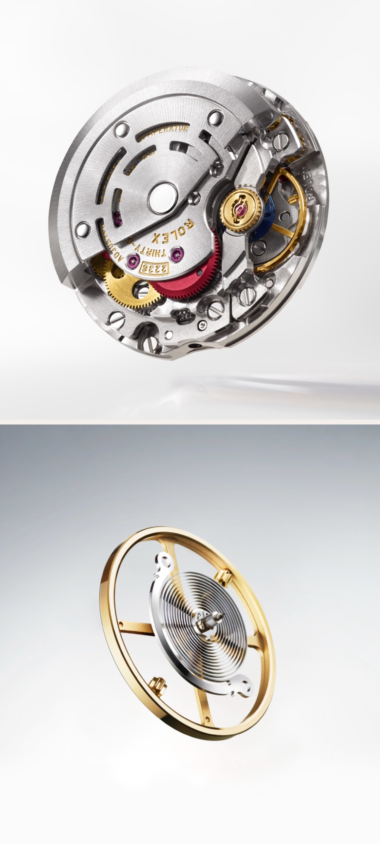 rolex lady-datejust watches - royal de versailles